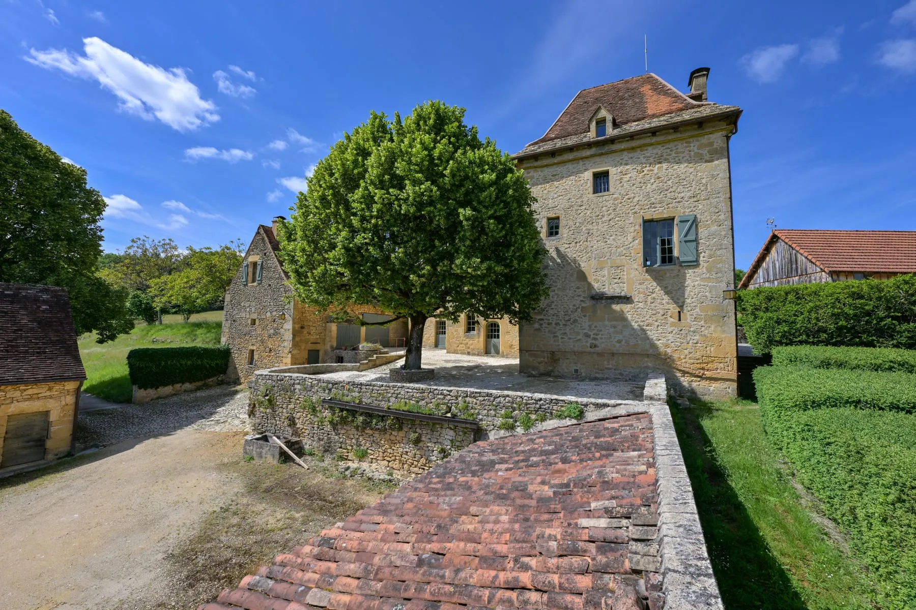 Terrasse et alentours